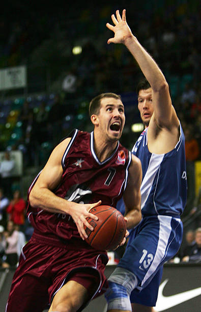 引了全球车 引了全球车