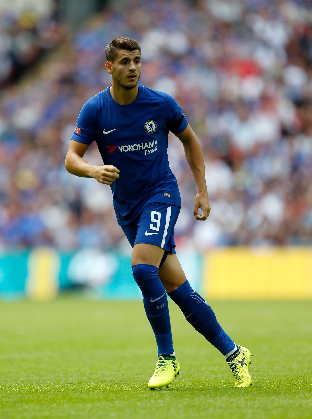 不仅提升了 不仅提升了